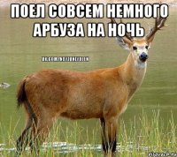 Поел совсем немного арбуза на ночь 