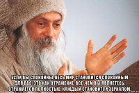  Если вы спокойны, весь мир становится спокойным для вас. Это как отражение. Всё, чем вы являетесь, отражается полностью. Каждый становится зеркалом.