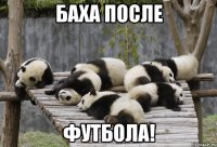 Баха после футбола!
