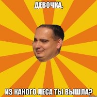 девочка, из какого леса ты вышла?