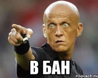  В БАН