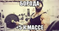 Борода +5 к массе