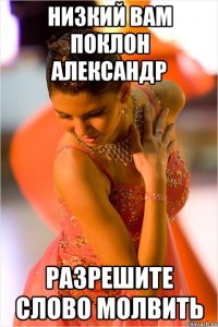 Низкий вам поклон Александр Разрешите слово молвить