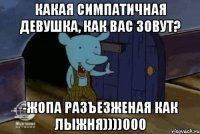 Какая симпатичная девушка, как вас зовут? -Жопа разъезженая как лыжня))))000