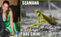 seamana tare ghini