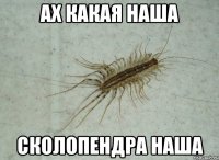 Ах какая наша Сколопендра наша