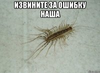 Извините за ошибку наша 