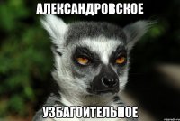 Александровское узбагоительное