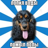 попил воды помыл полы
