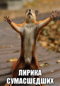  ЛИРИКА СУМАСШЕДШИХ