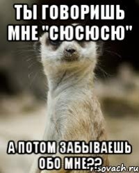 Ты говоришь мне "сюсюсю" а потом забываешь обо мне??