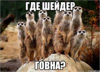 где шейдер говна?