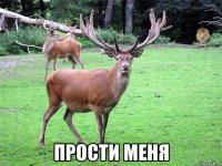  Прости меня