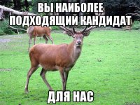 Вы наиболее подходящий кандидат для нас