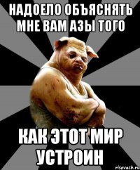 надоело объяснять мне вам азы того как этот мир устроин