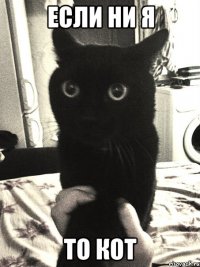 Если ни Я То Кот