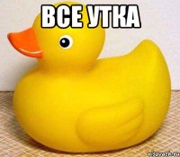 все утка 