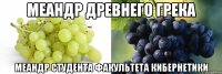 Меандр древнего грека Меандр студента факультета кибернетики