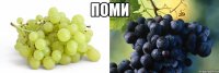 Поми 