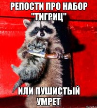 Репости про набор "Тигриц" или пушистый умрет