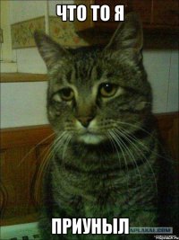Что то я Приуныл
