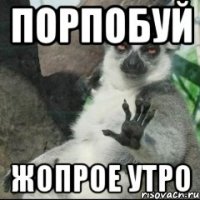 порпобуй жопрое утро