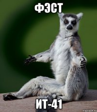 ФЭСТ ИТ-41
