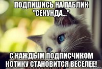 Подпишись на Паблик "Секунда..." С каждым подписчиком котику становится веселее!