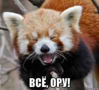  ВСЁ, ОРУ!