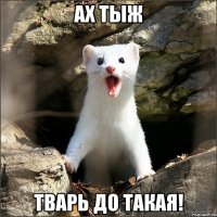 ах тыж тварь до такая!