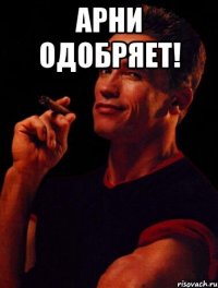Арни одобряет! 