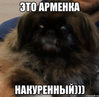 ЭТО АРМЕНКА НАКУРЕННЫЙ)))
