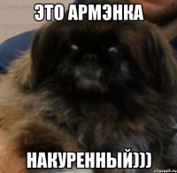 ЭТО АРМЭНКА НАКУРЕННЫЙ)))