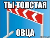 ты толстая овца