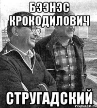 бээнэс крокодилович стругадский