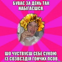 буває за день так набігаєшся, шо чуствуєш себе сукою, із созвєздія гончих псов