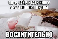 Пить чай, читать книгу укутавшись пледом восхитительно