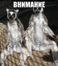 Внимание 