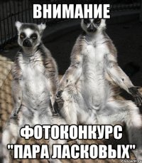 ВНИМАНИЕ ФОТОКОНКУРС "Пара Ласковых"