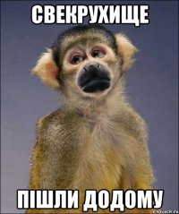 СВЕКРУХИЩЕ ПІШЛИ ДОДОМУ