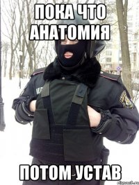 Пока что анатомия Потом устав