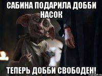 Сабина подарила Добби насок Теперь Добби свободен!