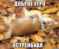 доброе утро остренькая :*