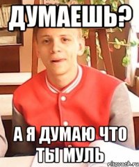 Думаешь? а я думаю что ты муль