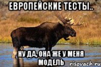 европейские тесты.. ну да, она же у меня модель