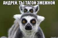 Андрей, ты тагой змежной 