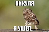 викуля я ушел....