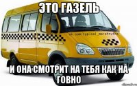 ЭТО ГАЗЕЛЬ И ОНА СМОТРИТ НА ТЕБЯ КАК НА ГОВНО