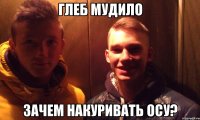 Глеб мудило зачем накуривать осу?