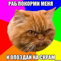 Раб покорми меня и опоздай на скрам